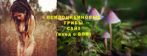 МДПВ Волоколамск