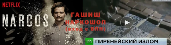 МДПВ Волоколамск
