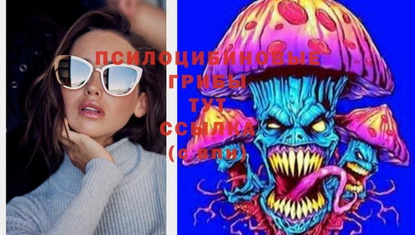 соль курить ск Волосово