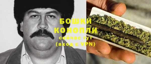 МДПВ Волоколамск