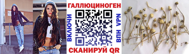 Галлюциногенные грибы Magic Shrooms даркнет какой сайт Назарово